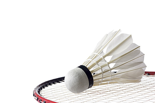 2个篮板 2个篮板