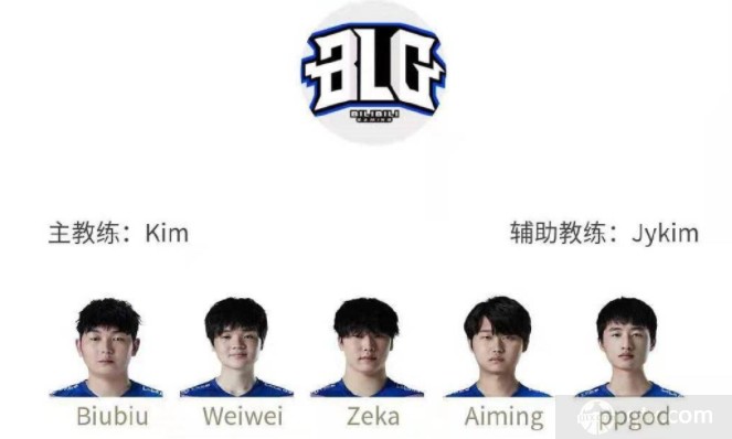 的阵容价值 的阵容价值