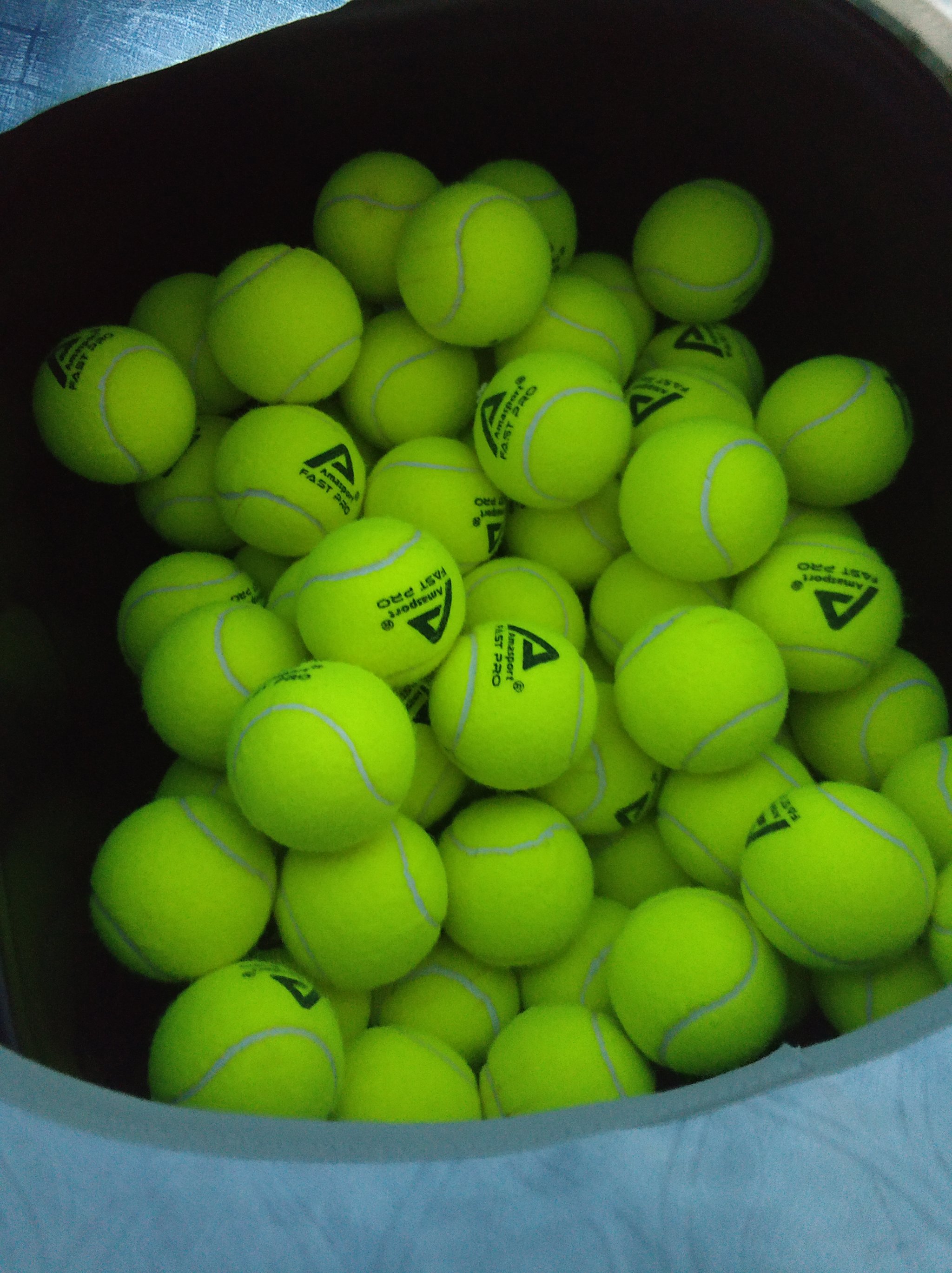 在范弗里特 在范弗里特